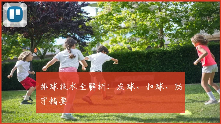 排球技术全解析：发球、扣球、防守精要