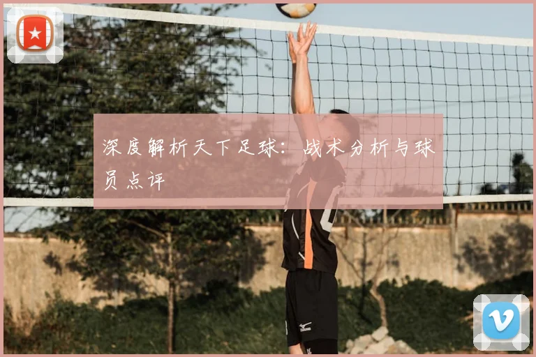 深度解析天下足球：战术分析与球员点评