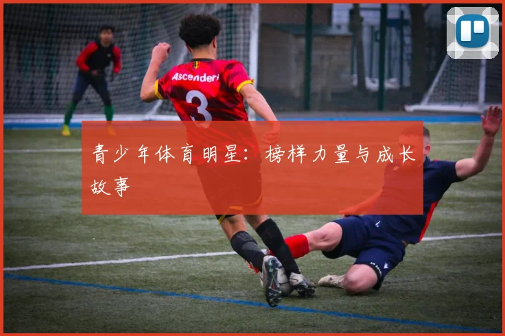 青少年体育明星：榜样力量与成长故事
