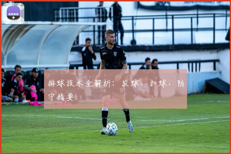 排球技术全解析:发球、扣球、防守精要