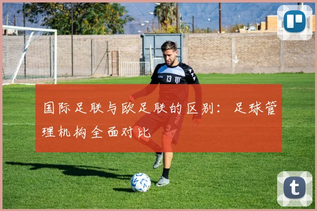 国际足联与欧足联的区别：足球管理机构全面对比